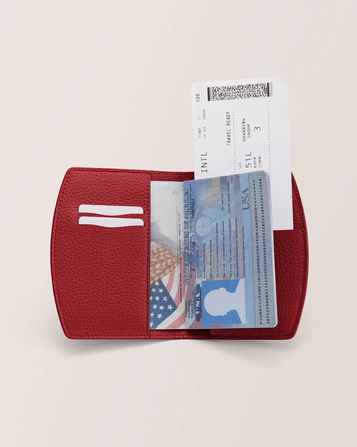 Passport Cover - Image 10